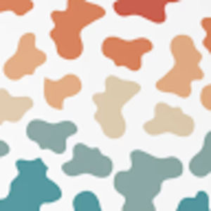 Meet your Posher, Raelyn